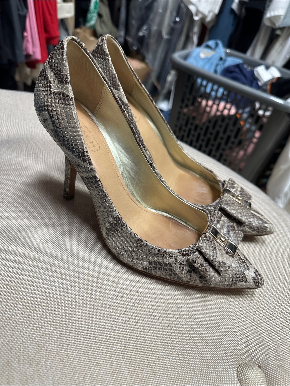 Coach Snake/python Print Pointed Toe Pumps size 6.5
